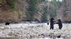 20131029-20131029-img_0359-2