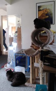 4-25-16-andy-and-dougy-watch-men-putting-in-washer-dryer