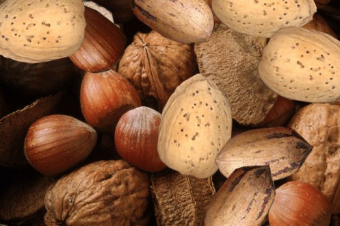 Image result for christmas nuts