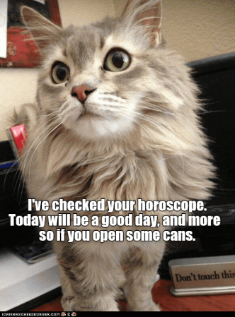 Image result for cat horoscope meme