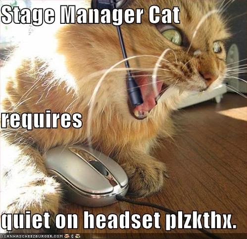 Image result for cat on stage meme