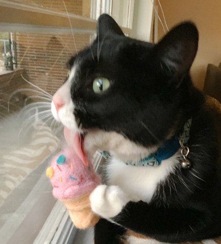 DIY: Needlefelted Cat Toys - collage